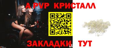 стафф Будённовск