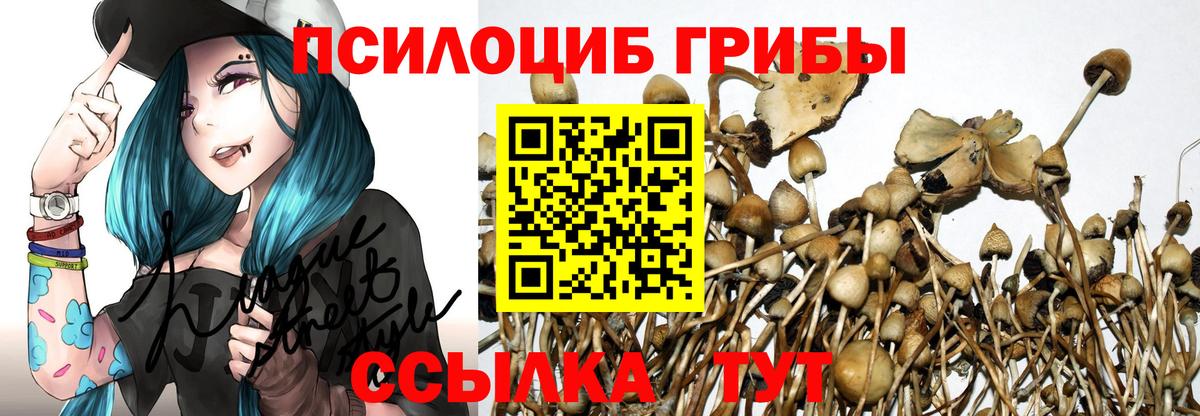 Псилоцибиновые грибы ЛСД Мончегорск