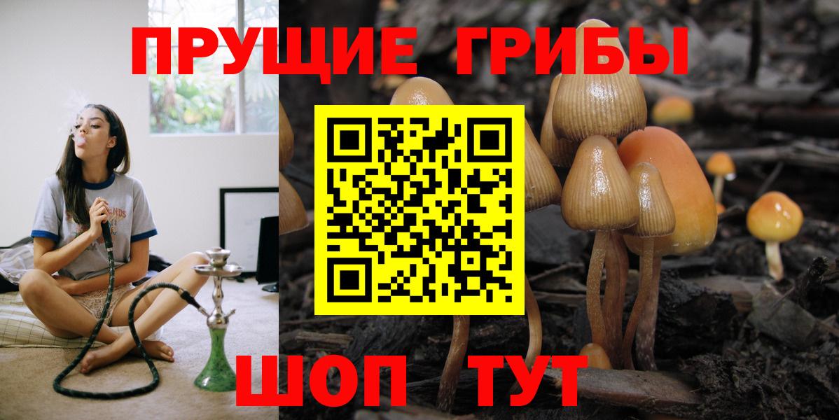 Мончегорск  закладка  Вход с VPN  Псилоцибиновые грибы Cubensis 