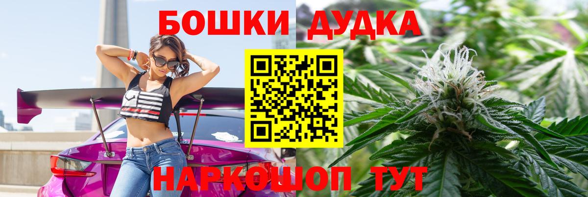 Бошки Шишки планчик Мончегорск